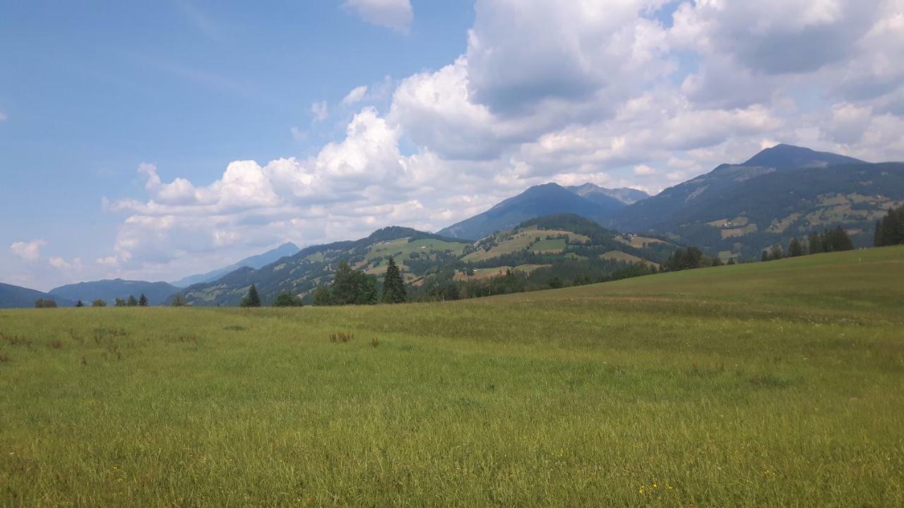 Holiday home Ferienhuette Troadkostn Rinegg (Murau)